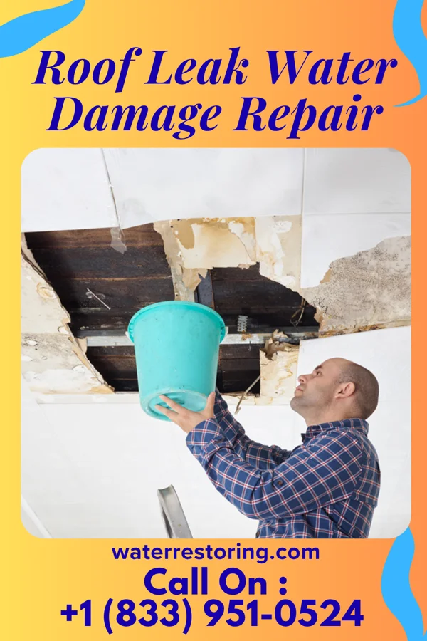 Roof Leak Water Damage Repair in Russell Springs, KY