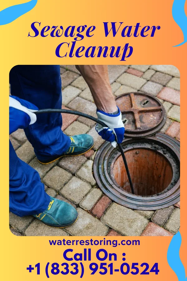 Sewage Water Cleanup in Russell Springs, KY